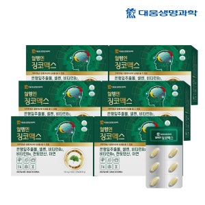 대웅생명과학 혈행엔 징코맥스 기억력 개선 혈행 개선 120정, 6개