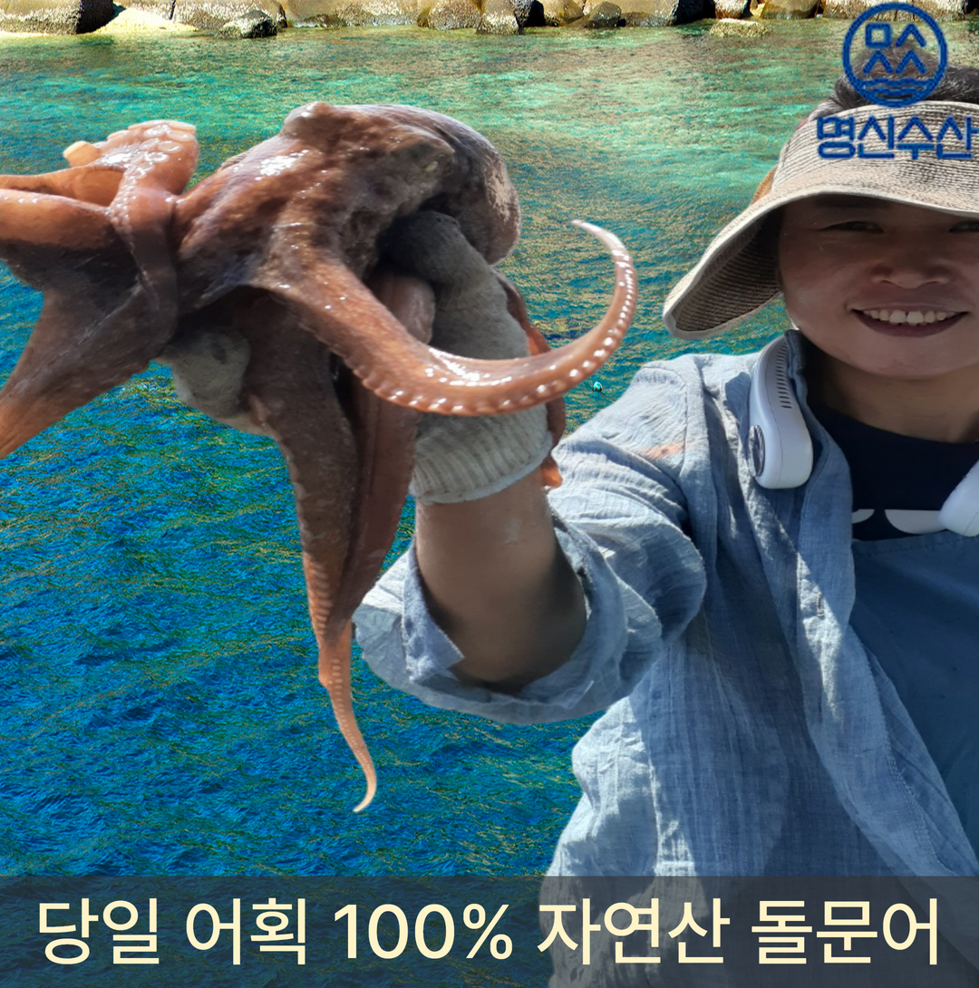 여수 자연산 생물 문어 돌문어 활 피1kg (1~4미) 명신수산