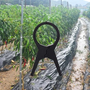 오이 집게 50개 작물 호박 고추 가지 클립 집게 30mm