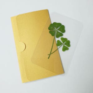 FLC 004 ( 1개-진짜 네잎클로버 다섯잎클로버 생화 코팅카드 4+5잎 )-봉투10가지