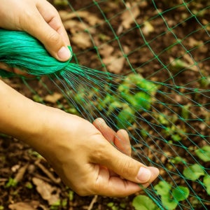 참새 그물 까치 비둘기 포획망 조류방지망 투망 새덫 새 그물망