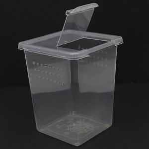 타란튤라 나무위성 케이지 적재형 소