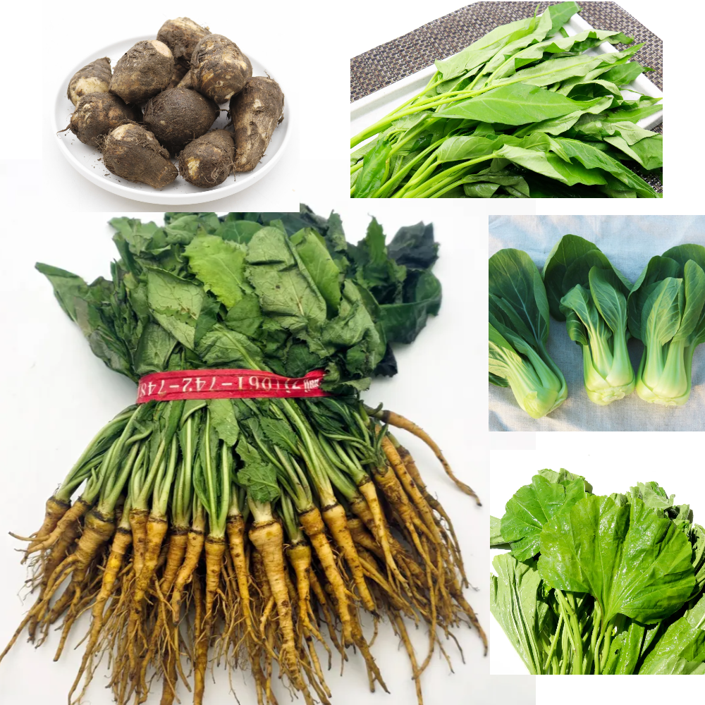 생고들빼기 토란 공심채 청경채 쑥갓 근대 아욱 케일 <b>물냉이</b> 은달래 차요태 방아잎 국수호박