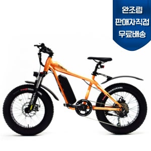 완조립도착 안지오 E20 팻바이크 36V 350W 10.4A 전기자전거 자토바이
