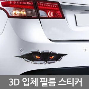 차량용스티커 3D 입체스티커 튜닝 데칼