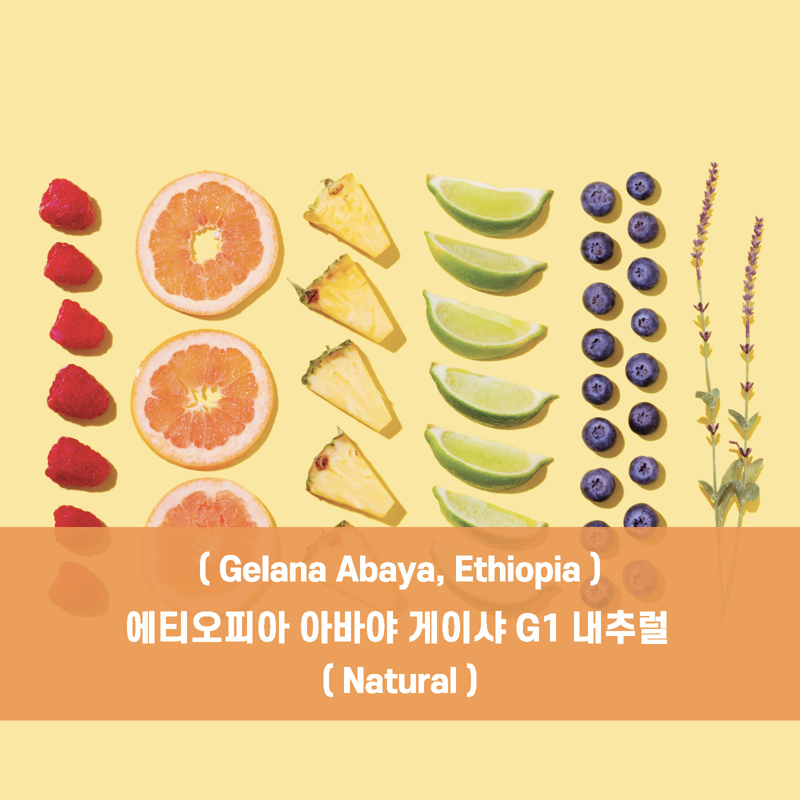 2026 커피페스타 (최대20%할인) (무배)