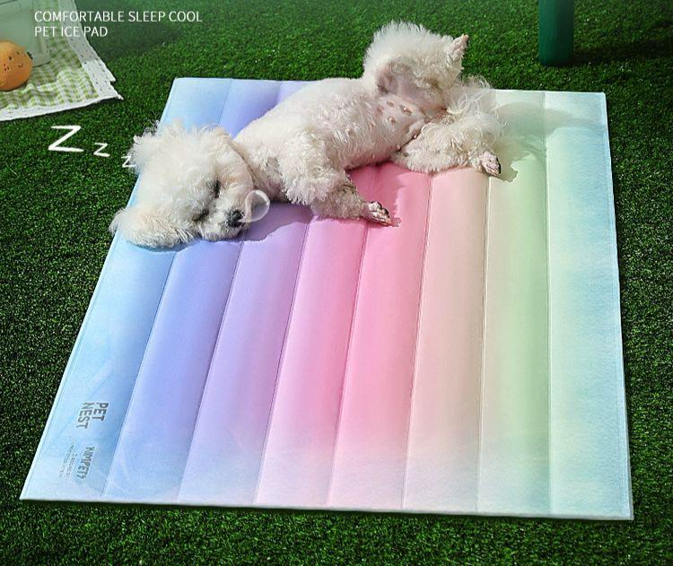 여름철 강아지 고양이 쿨매트 돗자리 강아지매트 애견매트 옵션 1