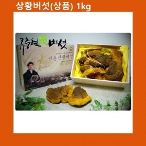 설선물 명절 국산 상황버섯 상품 1kg 천상의 선물세트