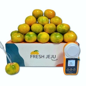 제주도 서귀포 하우스감귤 당도선별 선물용 가정용 쥬스용 2kg 3kg 5kg 10kg