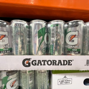 게토레이 레몬 240ml x 30캔 코스트코