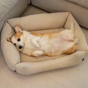 와루 강아지방석 고양이방석 사계절 강아지 쿠션 침대 M