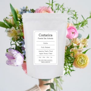 꽃향 게이샤 원두 코스타리카 푸엔테 산 안토니아 스페셜티 워시드 홀빈, 1kg, 1개
