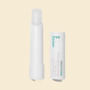 립밤 데일리보습 촉촉한 입술케어 필수 모이스처밤 유채꿀 3.5g 1개