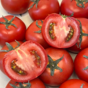 완숙 찰 토마토 못난이 스테비아 1kg 3kg 5kg 국내산 유럽종 주스용 쥬스용 당일수확