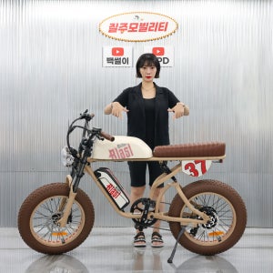 배터리1+1 프랑스 마이클 블라스트 리밋 에디션 E30 48V 500W 자토바이 전기자전거