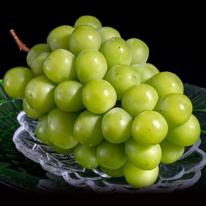 25년 고당도 샤인머스켓 1kg 2kg 씨없는 프리미엄 청포도 거봉 선물세트