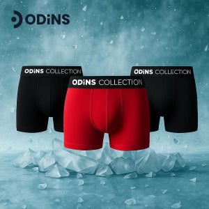 [오딘스] 라인 메쉬 여름 드로즈 남성팬티 3종세트
