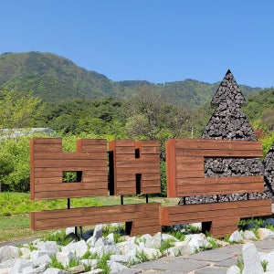 정선 5일장 가리왕산 화암동굴 태백 365세이프타운 백두대간수목원 1박2일 KTX 기차여행