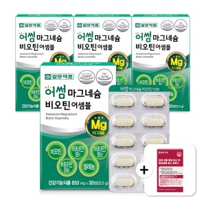 일양약품 산화 마그네슘 비오틴 비타민B 4박스(+파인애플 소화 효소 30포)