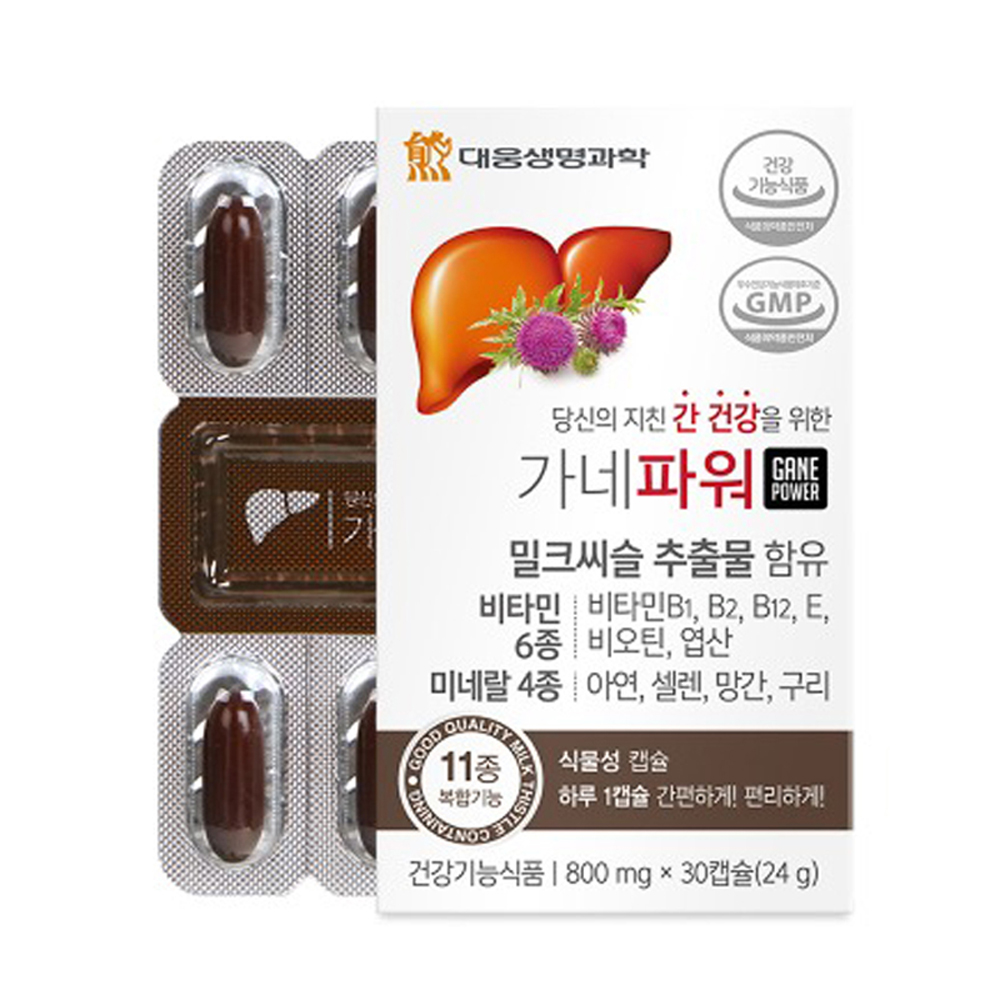 가네파워