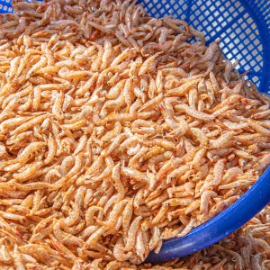 제철밥상 국내산 보리새우 두절새우 1kg