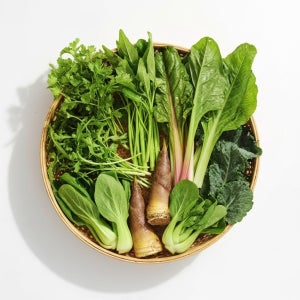 신선한 모듬채소 고수 공심채 근대 쑥갓 아욱 죽순 청경채 케일 와일드 루꼴라