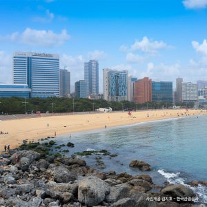 부산 태종대 산복도로마을 흰여울 문화마을 송도 스카이워크 자갈치시장 당일 KTX 기차여행