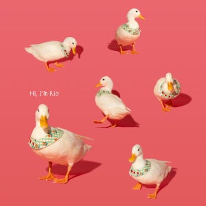 편집 디자인 콜라주 합성 다분할 사진 파일 편집 작업 의뢰 최종파일 시안컨펌(수정3~5회)