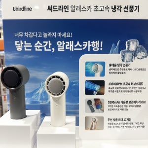 코스트코 BLDC THIRDLINE 보조배터리겸용 무선 핸디형 이동식 충전 스탠드 저소음 손 선풍기 2개입