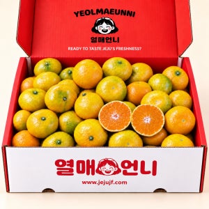 제주 극조생 노지감귤 1.5kg 2.5kg 4.5kg 9kg