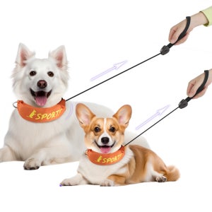 위드레오 강아지 2 in 1 리트렉터블 목줄 리드줄 세트 일체형 산책용품