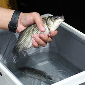 접이식 방수 수납 가방 캠핑카 캠핑가방 캠핑베개 캠핑의자 방수백 28L