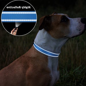 밤산책 대형견 소형견 중형견 개목줄 강아지산책줄 리드줄