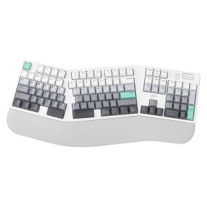지클릭커 오피스프로 EK600 인체공학 스탠다드 무선 블루투스 풀윤활 기계식 키보드 그라데이션 네온 화이트 보글보글 37g