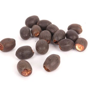 연꽃 씨앗 미니 수련 수반 연꽃 수중 재배 관상용 실내 키우기 씨앗 50개