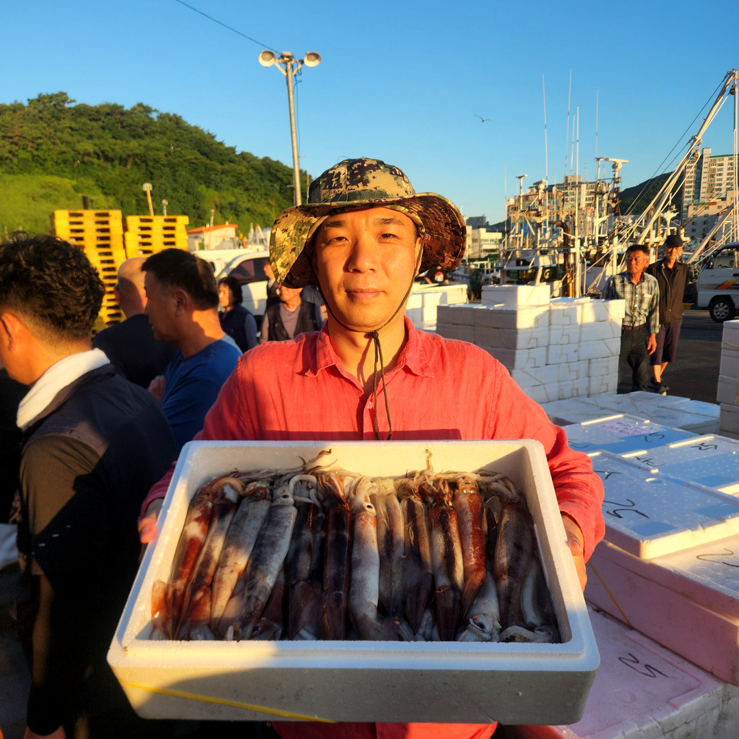 국내산 태안 신진항 통오징어 1kg 조업당일 급속냉동