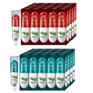 2080 진지발리스 치약 150g x 20개 대용량 후레쉬민트 스트롱민트