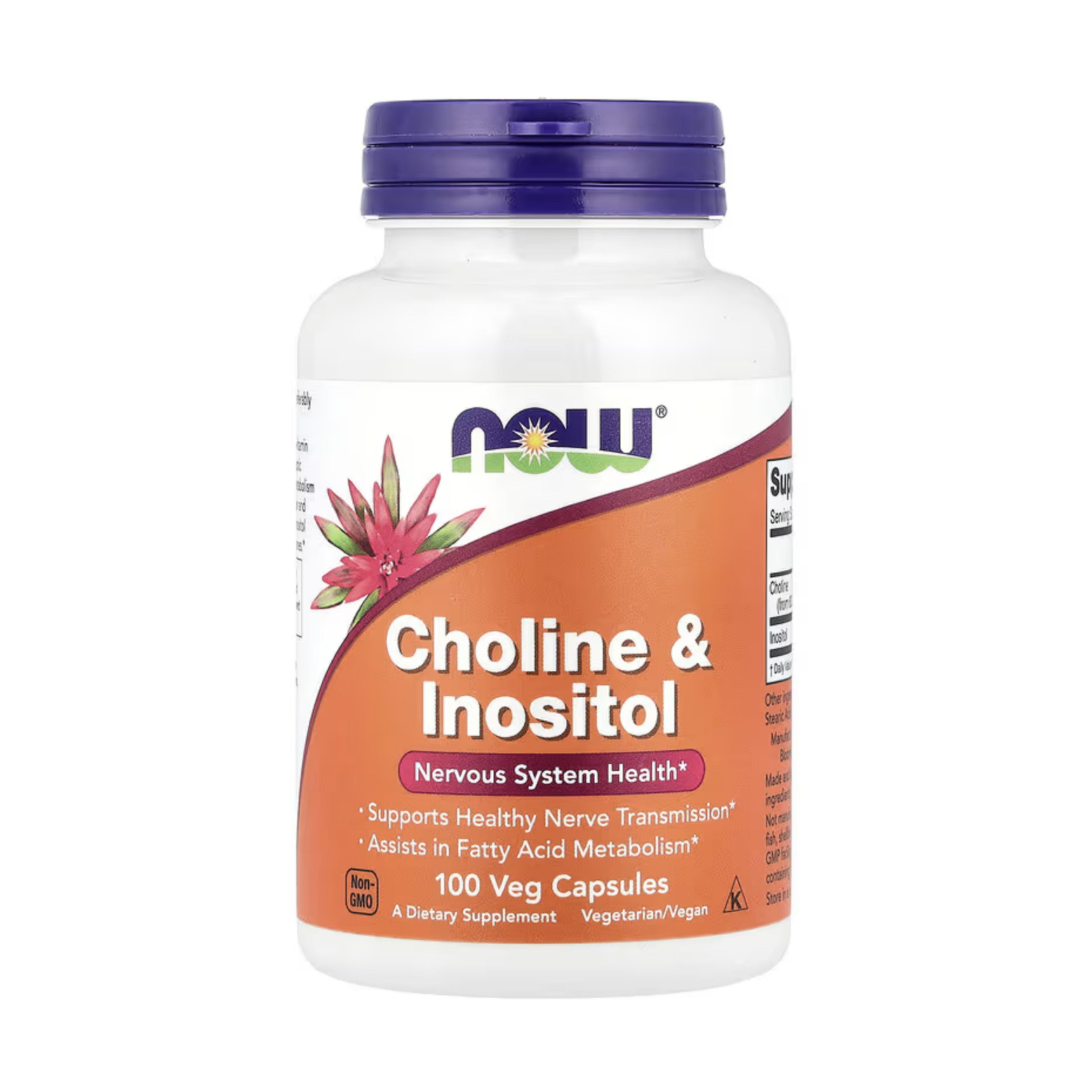 나우푸드 콜린 <b>이노시톨 500mg</b> 100 베지캡슐