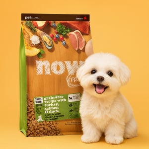 [유통기한 2026.11.25] 나우 사료 그레인프리 독 스몰브리드 시니어, 9.9kg, 1개