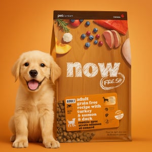 [유통기한 2026.11.25] 나우 사료 그레인프리 독 올브리드 어덜트, 9.9kg, 1개