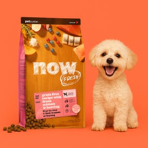 [유통기한 2026.11.20] 나우 사료 그레인프리 독 올브리드 어덜트 피쉬, 9.9kg, 1개