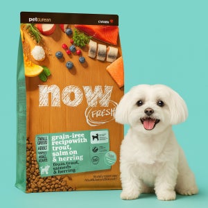 [유통기한 2026.11.19] 나우 사료 그레인프리 독 스몰브리드 어덜트 피쉬, 9.9kg, 1개