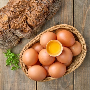 [품질보장] 난각번호1번 상황버섯 먹여 키운 무항생제 계란 유정란 자연방사 HACCP 120구, 1개