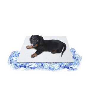 대형견 대리석 쿨매트 강아지 대리석 침대 애견 돌침대