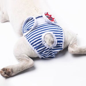 강아지 찍찍이 생리팬티 위생팬티 기저귀 팬티 암컷 M