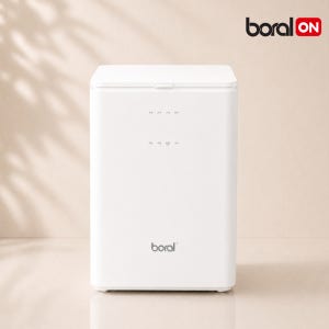 보랄 가정용 음식물처리기 고온건조 분쇄 Q마크 2중필터 특허 에어덕트필터 3L BR-3000FWD 사각