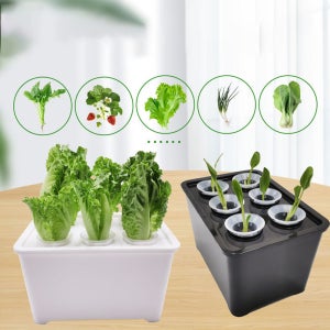 홈가드닝 플랜트박스 텃밭화분 저면관수 트레이 삽목판 수경재배 키트 육묘 상자 실내 베란다
