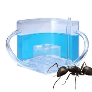 개미 키우기 곤충 관찰 채집 개미집 관찰하기 사육장 키트
