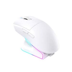 로이체 RDM-G510 도킹형 충전 무선 게이밍 마우스 화이트