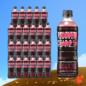 리커버리 기어 자몽오렌지맛 (500mL x 24PET)